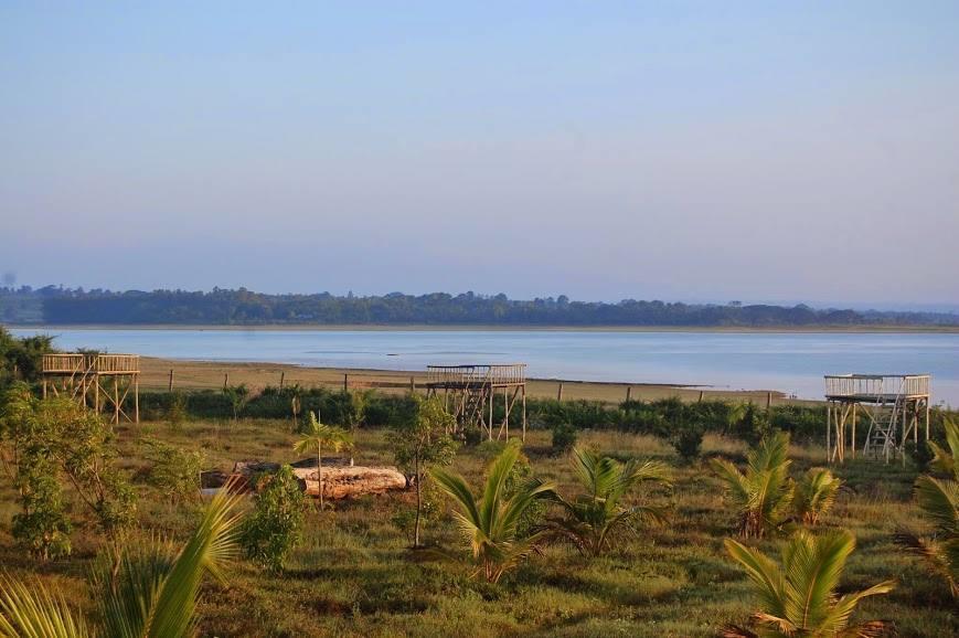 The Peepal Tree, Kabini Begūr Eksteriør billede
