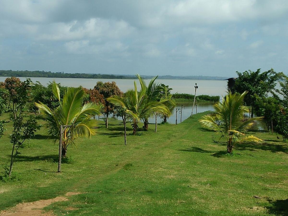 The Peepal Tree, Kabini Begūr Eksteriør billede