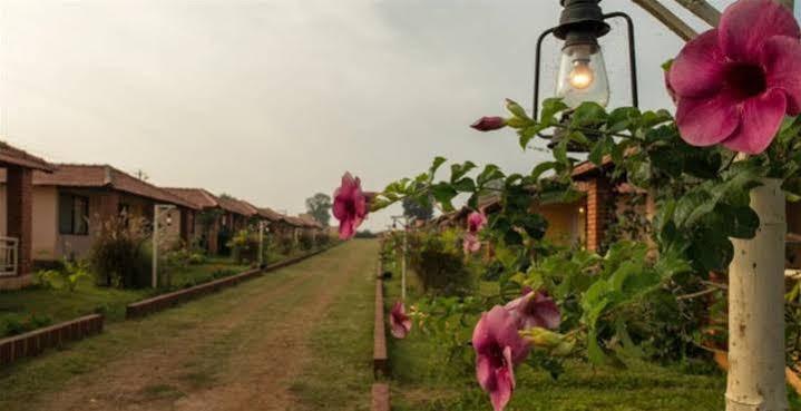 The Peepal Tree, Kabini Hotel Begūr Eksteriør billede